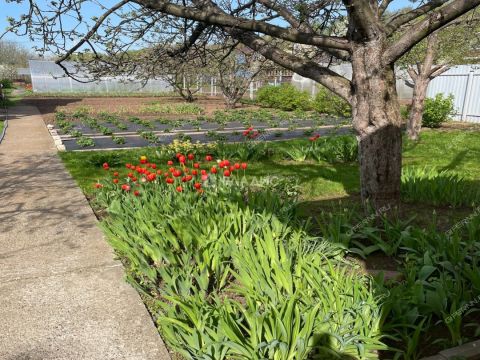 dom-poselok-sadovskiy-kstovskiy-rayon фото