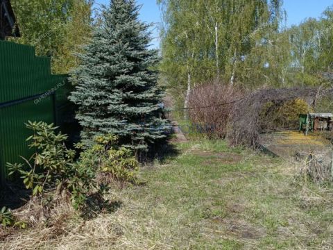 dacha-gorod-pavlovo-pavlovskiy-municipalnyy-okrug фото