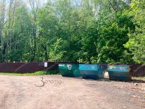 derevnya-novaya-puner-kstovskiy-rayon фото