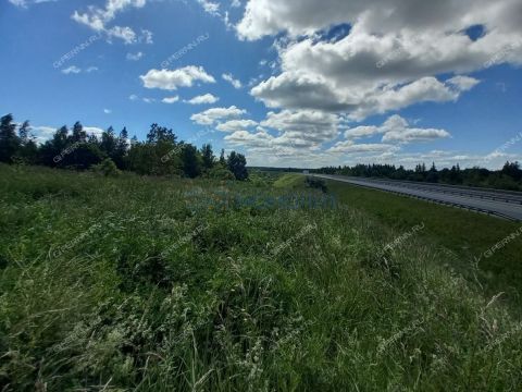 derevnya-krutec-doskinskiy-selsovet-bogorodskiy-municipalnyy-okrug фото