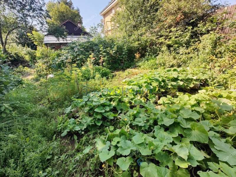 дом на улице Мира деревня Анкудиновка