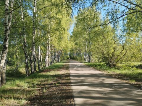 derevnya-shestovo-gorodskoy-okrug-chkalovsk фото