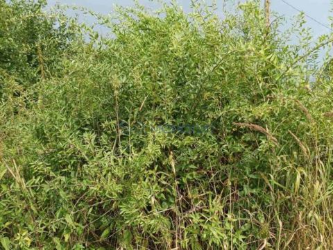 dom-selo-simbiley-dalnekonstantinovskiy-rayon фото