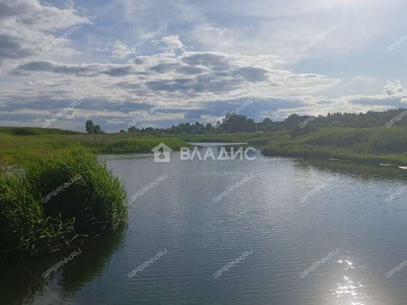 дом на улице Луговая деревня Спирино