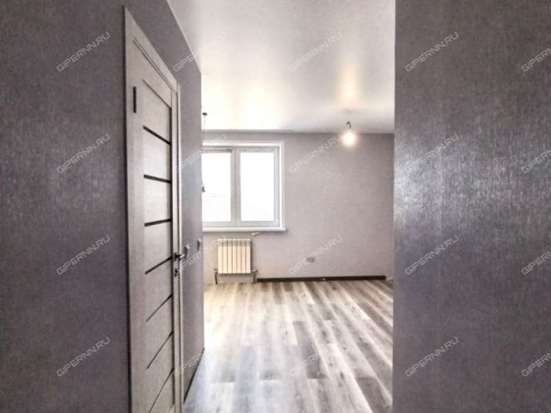 однокомнатная квартира на Московском шоссе дом 167 к2