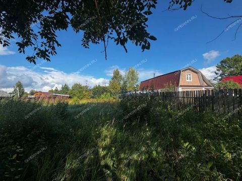 derevnya-vybolovo-bogorodskiy-municipalnyy-okrug фото
