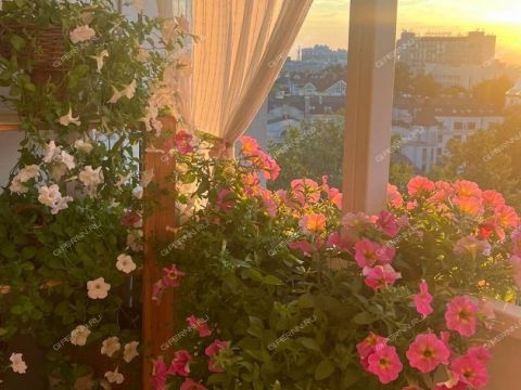 2-komnatnaya-ul-belinskogo-d-62 фото