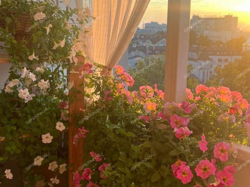 двухкомнатная квартира на улице Белинского дом 62