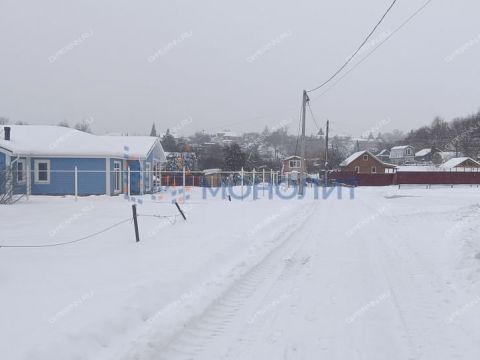 derevnya-afonino-kstovskiy-rayon фото