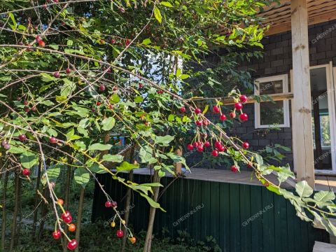 dom-snt-stroygaz-snt-stroygaz фото