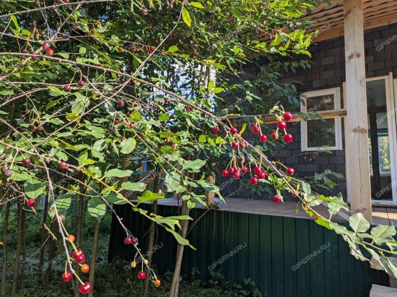 дом на СНТ Стройгаз