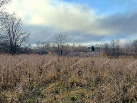 derevnya-hmelevaya-polyana-dalnekonstantinovskiy-rayon фото