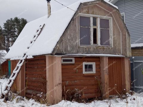 dacha-gorod-semenov-semenovskiy-gorodskoy-okrug фото