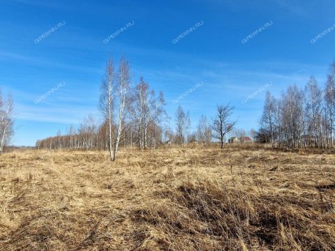 derevnya-novolikeevo-kstovskiy-rayon фото