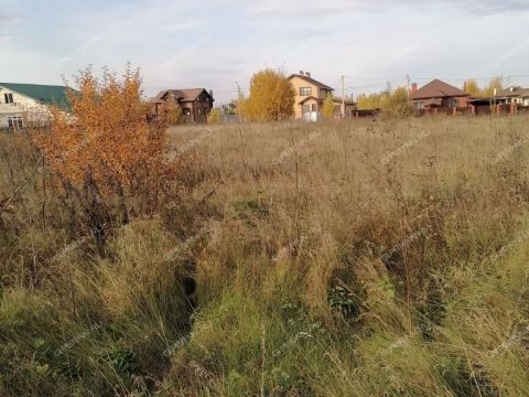 gorod-pavlovo-pavlovskiy-municipalnyy-okrug фото