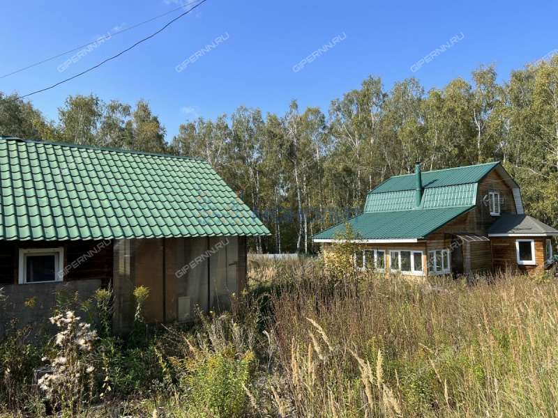 дом на улице Шоссейная Нижегородец сп