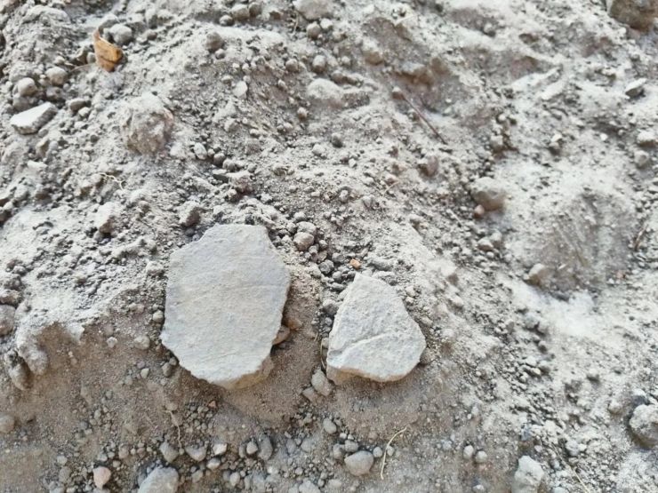 Фото: УГО ОКН Нижегородской области