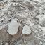 Фото: УГО ОКН Нижегородской области