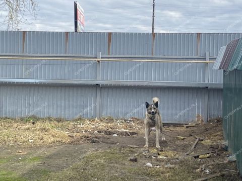 gorod-bor-gorodskoy-okrug-bor фото