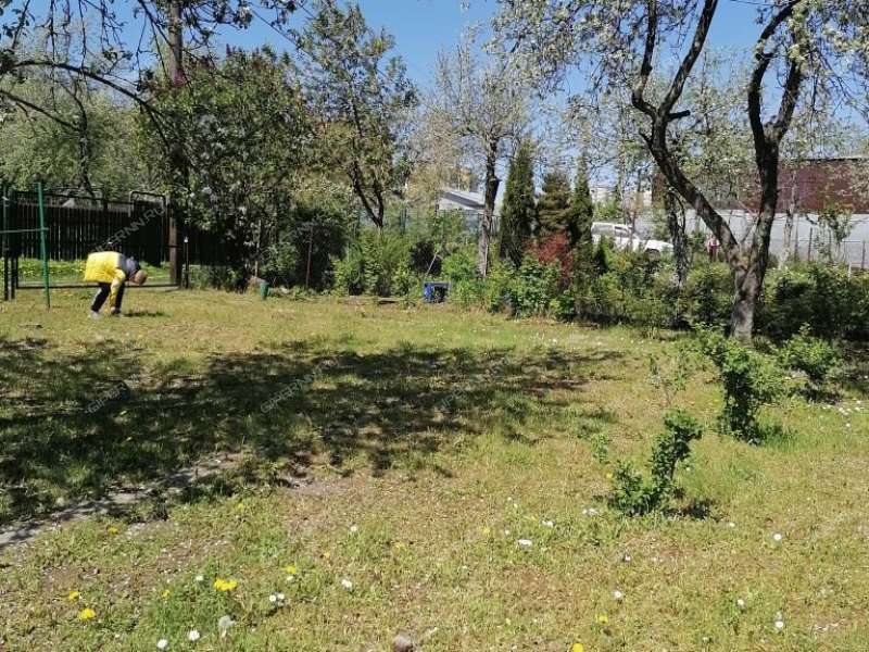 дача на с/т им Тимирязева Территория