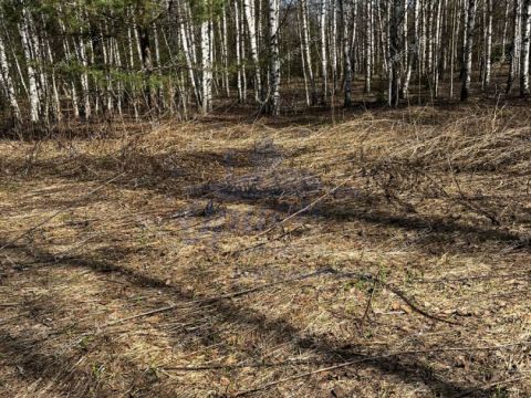 derevnya-lomki-gorodeckiy-rayon фото