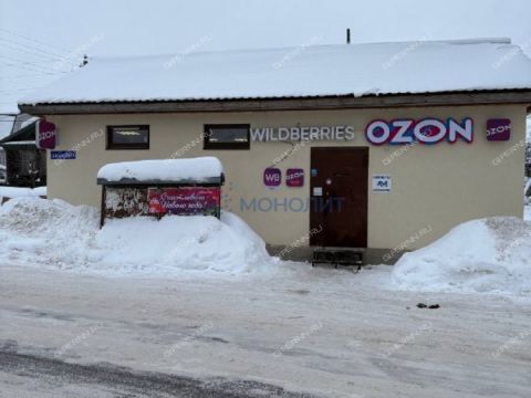 3-komnatnaya-rabochiy-poselok-bolshoe-kozino-balahninskiy-municipalnyy-okrug фото