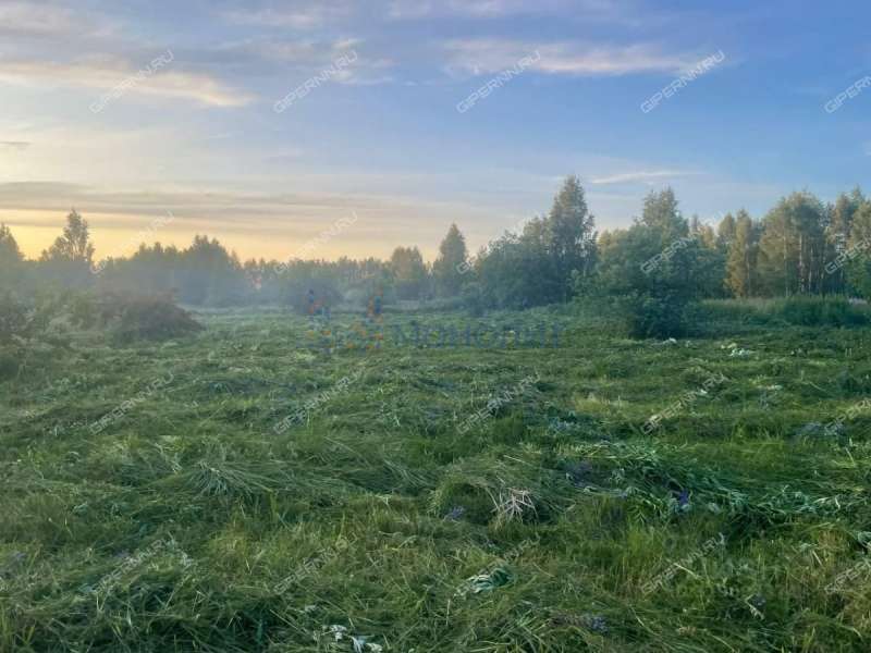 земельный участок 30 соток Интернациональная улица село Пологовка