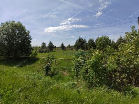 selo-bezvodnoe-kstovskiy-rayon фото