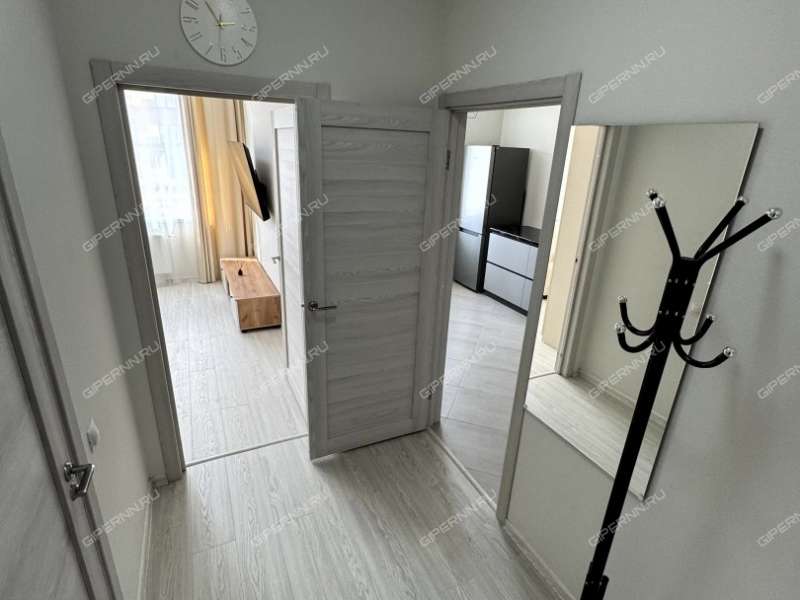 однокомнатная квартира на Зеленхозовской улице дом 1T