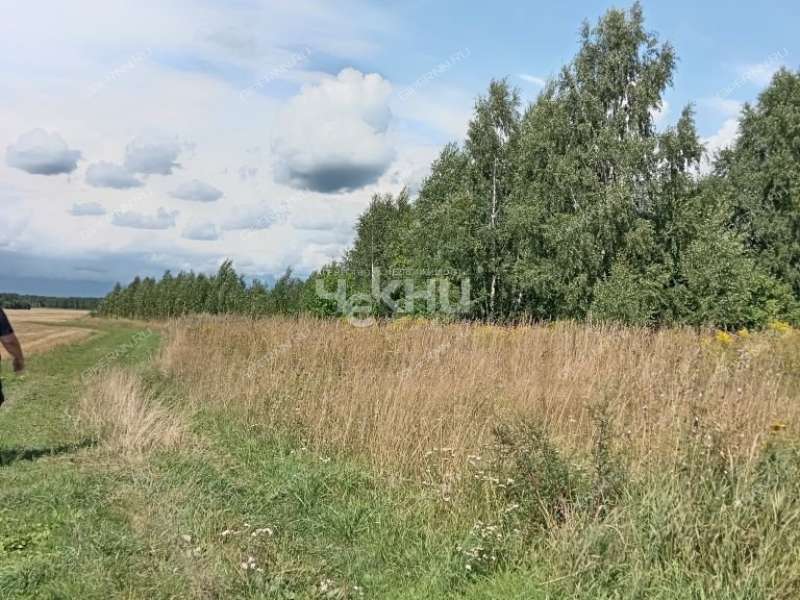 земельный участок 20 соток деревня Гришманово