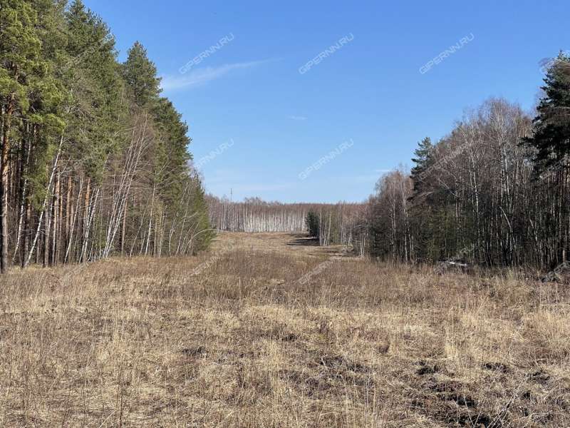 земельный участок под коммерческое использование в Кстовском районе Нижегородской области