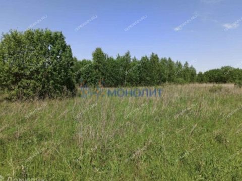 selo-dudenevo-bogorodskiy-municipalnyy-okrug фото