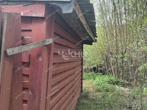 dacha-derevnya-mokeiha-gorodeckiy-rayon фото