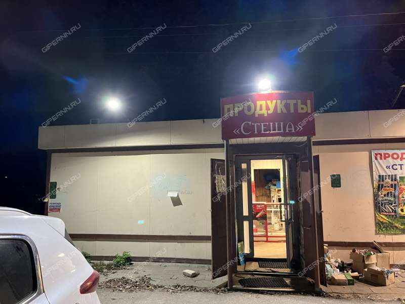 помещение под торговую площадь, недвижимость под общепит на Снежной улице