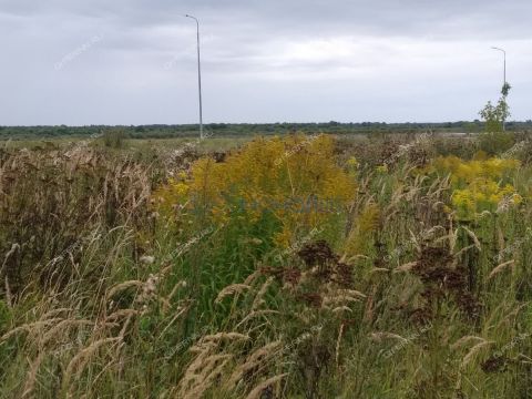 derevnya-kolganovo-gorodskoy-okrug-chkalovsk фото