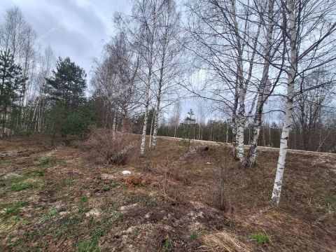 derevnya-bushnevo-gorodeckiy-rayon фото