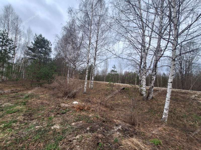 земельный участок 19,57 сотки - деревня Бушнёво