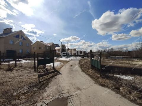 derevnya-savelovo-bogorodskiy-municipalnyy-okrug фото