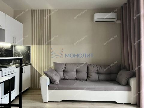 kvartira-studiya-derevnya-ankudinovka-kstovskiy-rayon фото