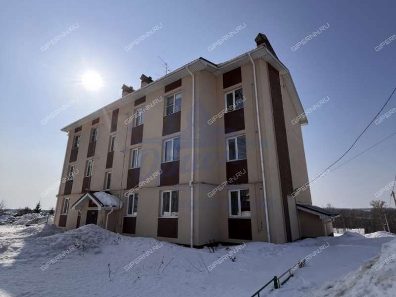 однокомнатная квартира на Советской улице дом 15 посёлок Окский