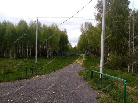 derevnya-churkino-zinyakovskiy-selsovet-gorodeckiy-rayon фото