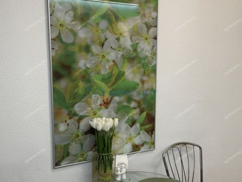 2-komnatnaya-mkr-6-y-d-9 фото