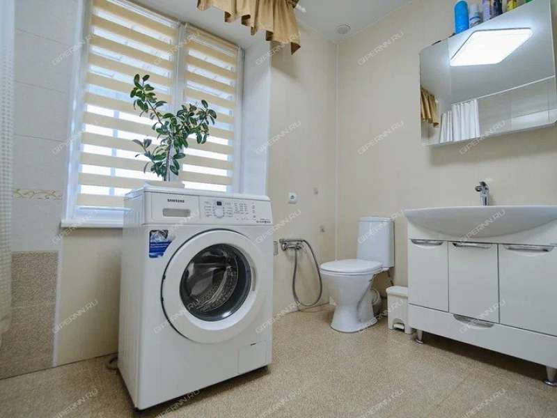 коттедж на Восточной улице село Великий Враг