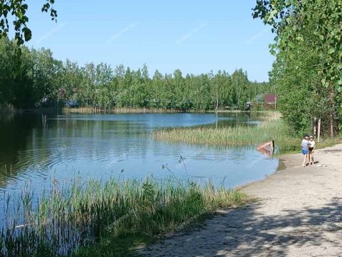 dacha-gorod-balahna-balahninskiy-municipalnyy-okrug фото