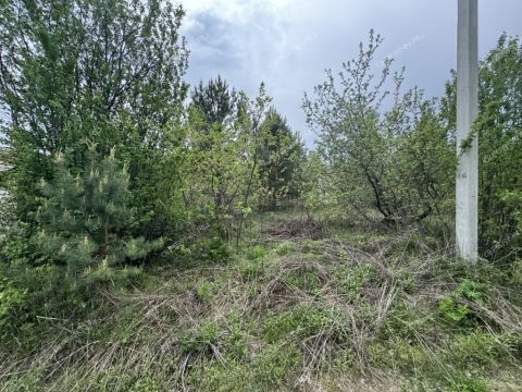 gorod-bor-gorodskoy-okrug-bor фото