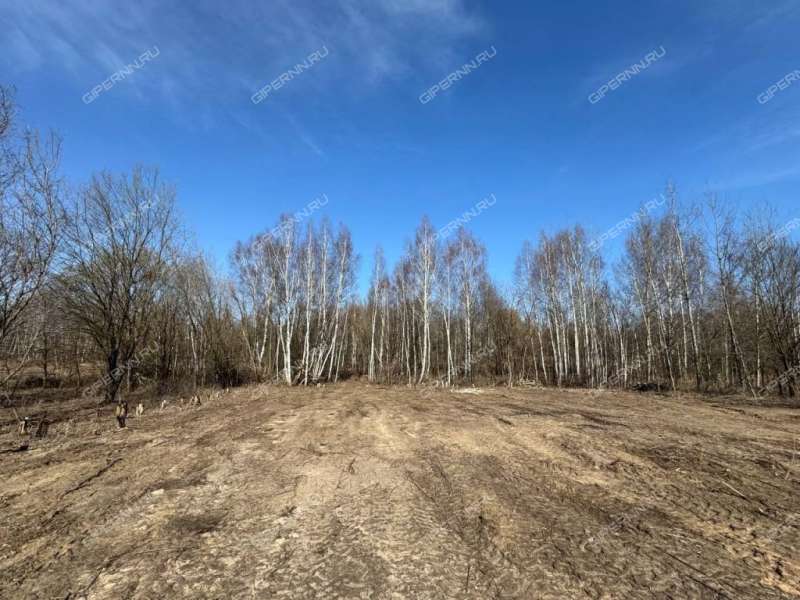 земельный участок 12,5 сотки деревня Заборье