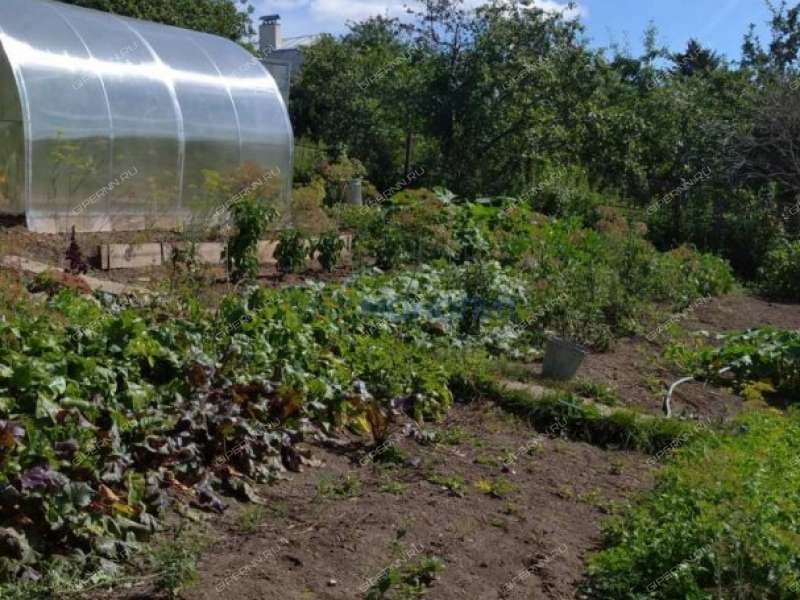 дом на Центральная село Малое Мурашкино