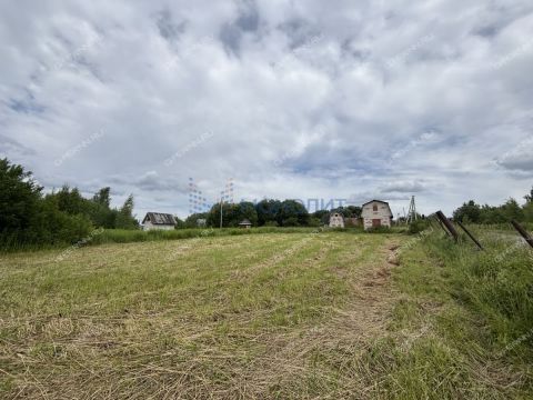 ryabinino-sad-gorodskoy-okrug-chkalovsk фото