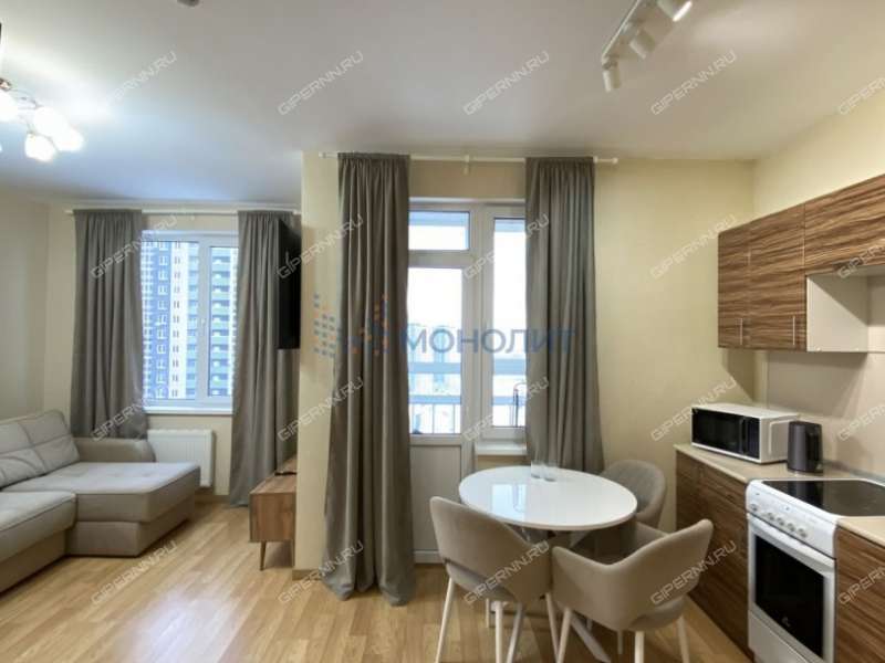 однокомнатная квартира на Русской улице улице дом 5 деревня Анкудиновка