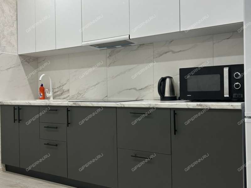 однокомнатная квартира на проспекте Гагарина дом 101 к1